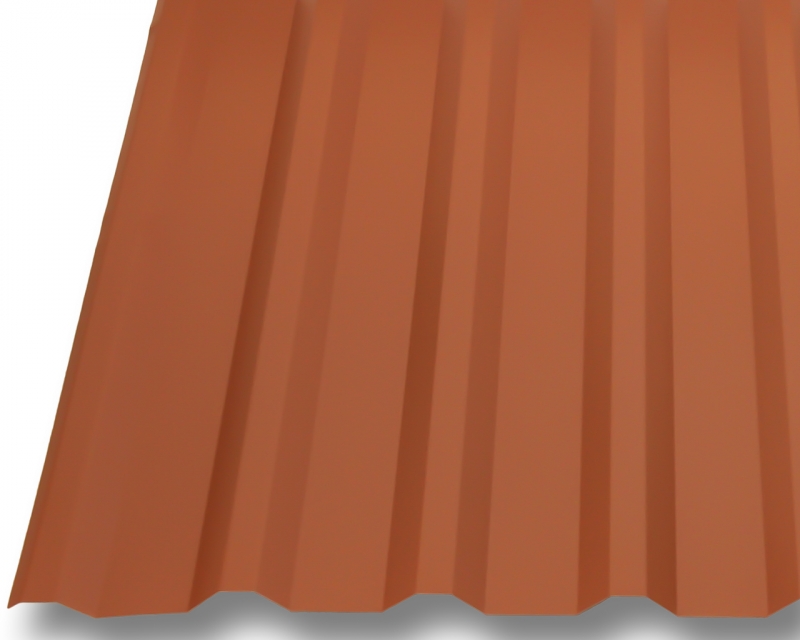 Trapezblech W20/1100 Dachplatten - Antitropf - Stahl 0,5mm #3